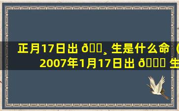 正月17日出 🕸 生是什么命（2007年1月17日出 🐝 生是什么命）